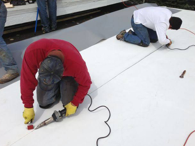 Servicio de Impermeabilización 6